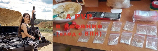 apvp Вяземский