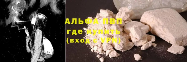 ПСИЛОЦИБИНОВЫЕ ГРИБЫ Вязники